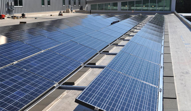 Successful Entrepreneurs Using Renewable Energy