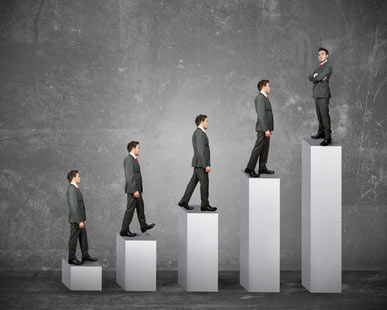 Looking for a New Career or Want to Start a Business?