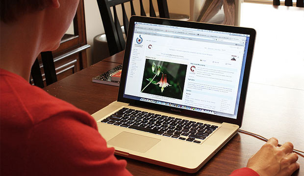 Start-Up Blunders You Can Learn From