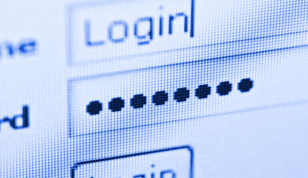 The Main Online Security Risks: People