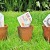 5 Alternative Business Financing Sources You Might Never Consider Before (But You Should Today)
