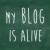 Business Blog Tips: Getting More by Writing Less