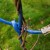 Rural Internet Users Left to Ponder Alternatives to Dialup