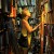Why Business Owners Need to Keep Learning