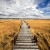 Investment Basics for New Business-owners: The Path to Long-term Success