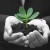 Essential Tips for Starting a New Business
