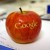 SEO for Start-Ups: Should You Invest?