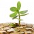 12 Pieces of Advice for your First Series A Financing