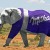 Promoting Your Local Business to Remain Competitive in the Global Age
