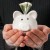 6 Ways to Save Money When Starting a Business
