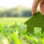Is the Green Deal a Good Deal for UK Businesses?