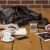 Mixing The Old With The New: Important Traditional and Modern Business Practices