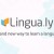 Q&A with Dr. Jan Ihmels, the Co-Founder/CEO of Lingua.ly