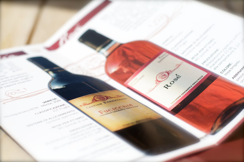 Italian winery promotional brochure