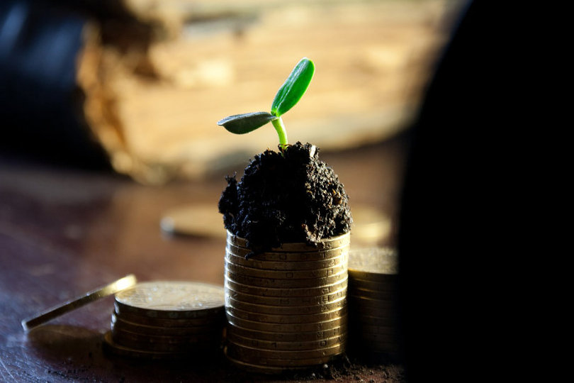 Learn to Grow Your Small Business: 7 Tips