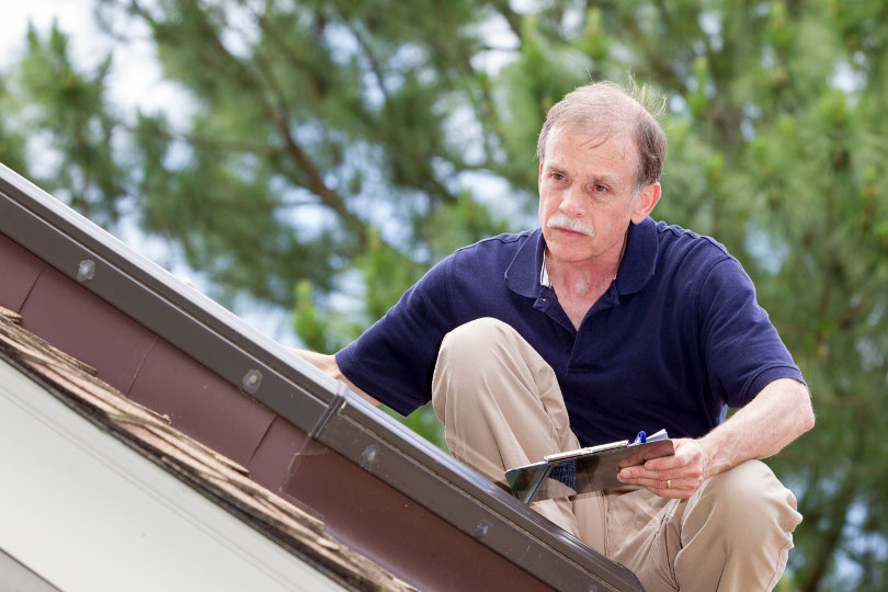 How to Protect Your Work Place From Pesky Pests
