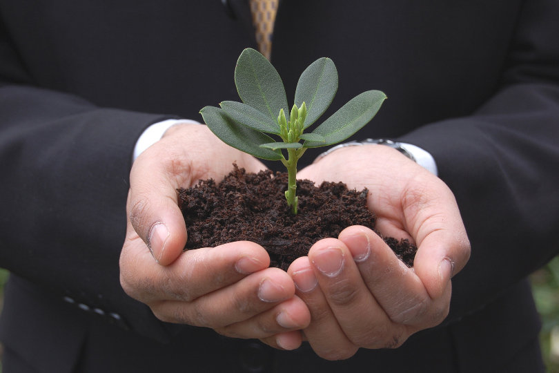 Small Business Success – What Every Small Business Owner Must Know