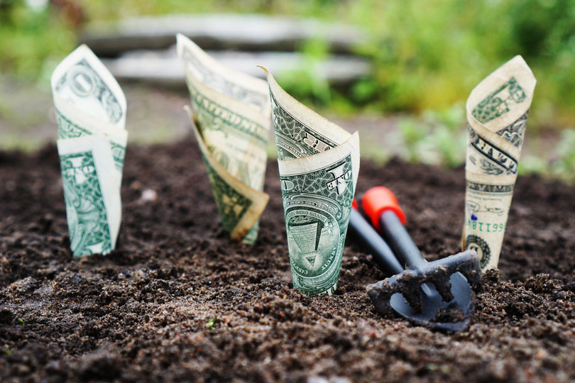 5 Green Business Ideas for Profit and the Common Good