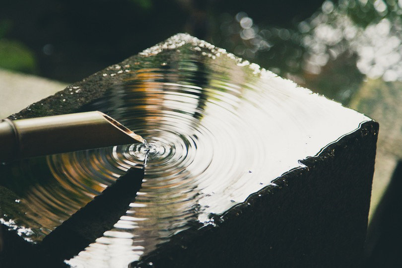 Why Your Business Might Need The Services of a Water Hygiene Company