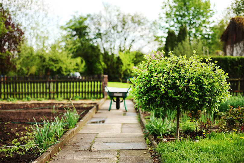 Top 3 Landscaping Changes That Boost Property Values by 20 Percent or More