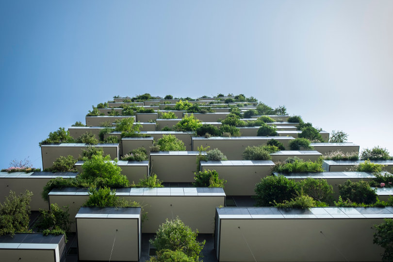 Eco building and vertical forest