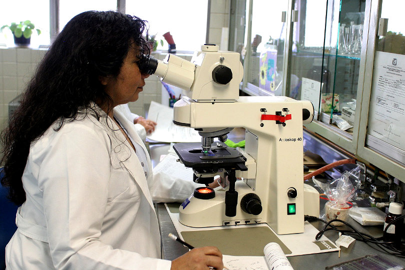 Why You Need to Know About Shareholder Suits if You’re Invested in Pharma Companies