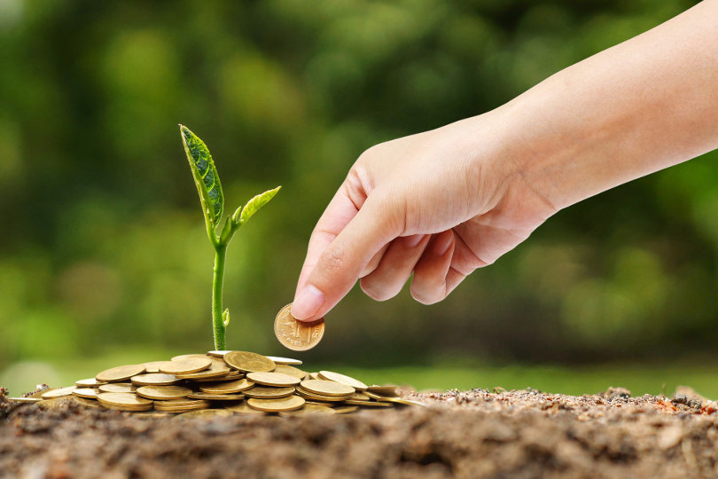 Important Details Businesses Need to Know about Taking out Loans