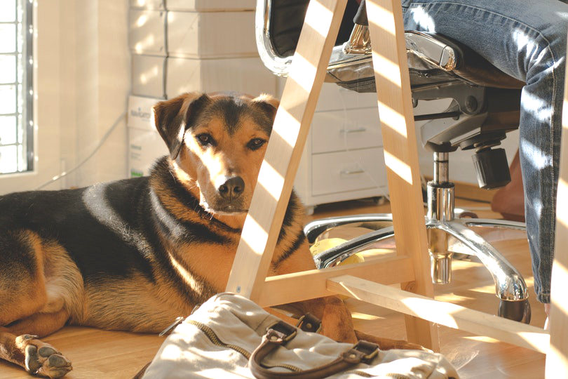 5 Ways to Integrate Nature in Your Home Office