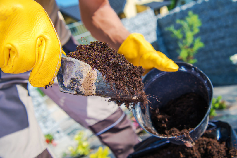 Landscaping