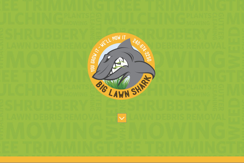 Big Lawn Shark website screenshot