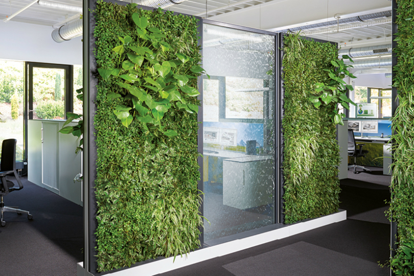 green walls enhance office space