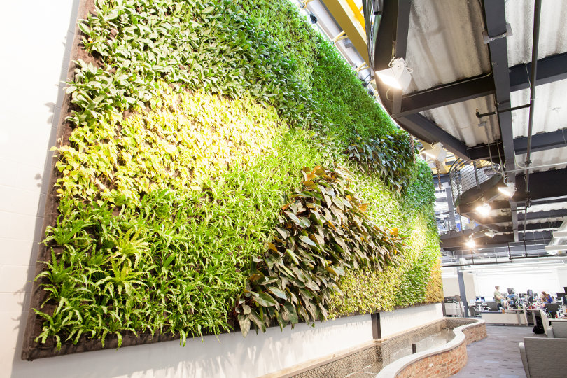 Green wall system at office building