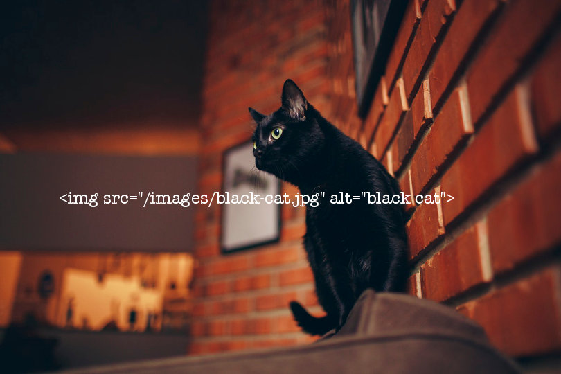 Image SEO example - black cat photo