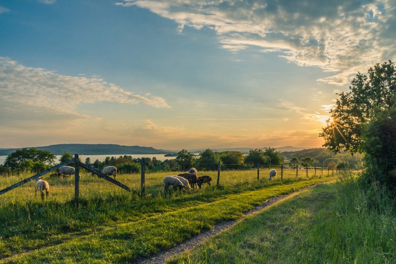 10 Things To Consider Before Starting Your Own Farm