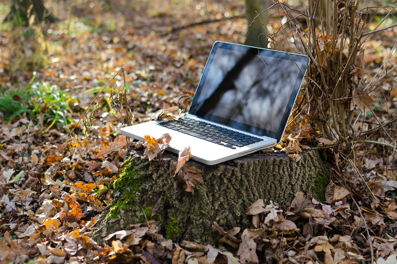 Eco-Friendly Is In: How to Turn Your Office Green