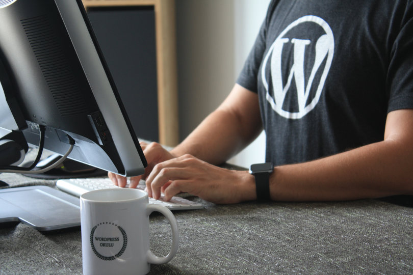 WordPress developers