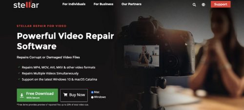 stellar repair for video virus