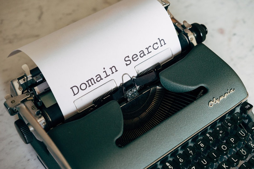 Domain name search