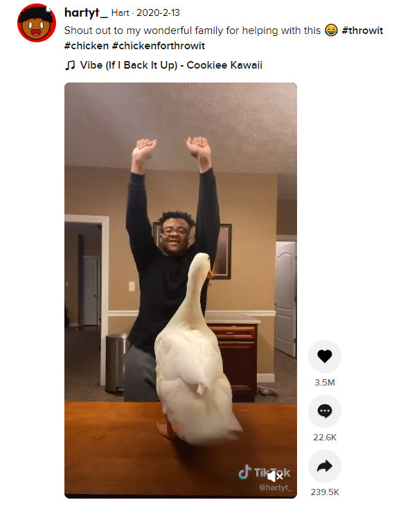 Hartyt Goose on TikTok