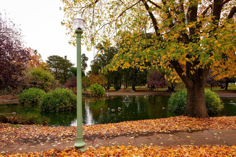 Public park in Sacramento