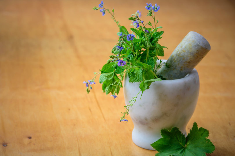 image-5 - purshoLOGY Natural medicine