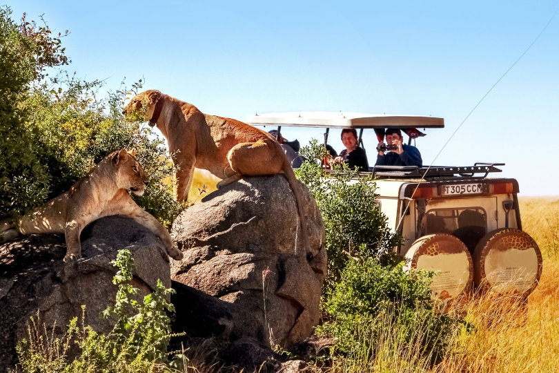 African Lion Safari