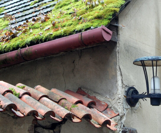 Controlling Moss Growth on Your Rental Property’s Gutter – 7 Easy Steps