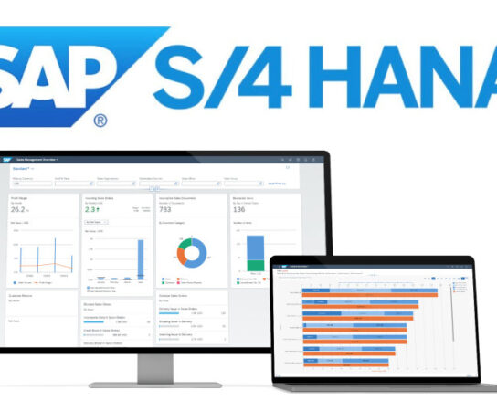 Which ERP to Choose SAP S/4HANA Cloud or On-Premise?