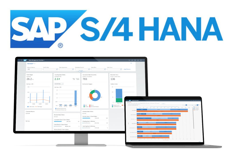Which ERP to Choose SAP S/4HANA Cloud or On-Premise?