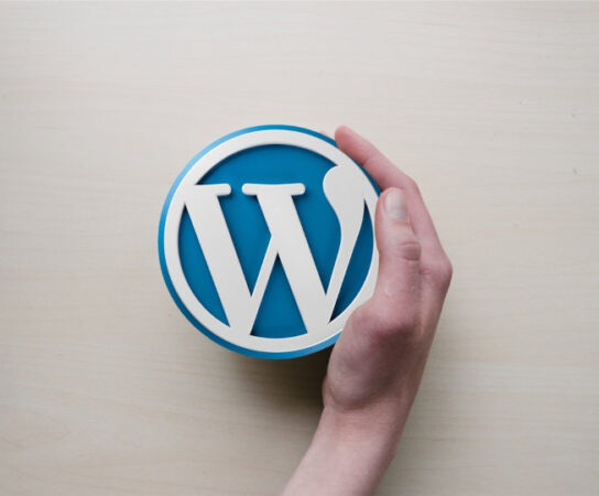 Building a Professional Website with WordPress: 2023 Guide