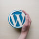Building a Professional Website with WordPress: 2023 Guide