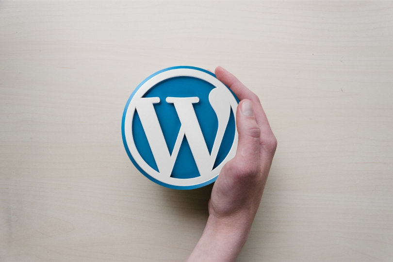 Building a Professional Website with WordPress: 2023 Guide